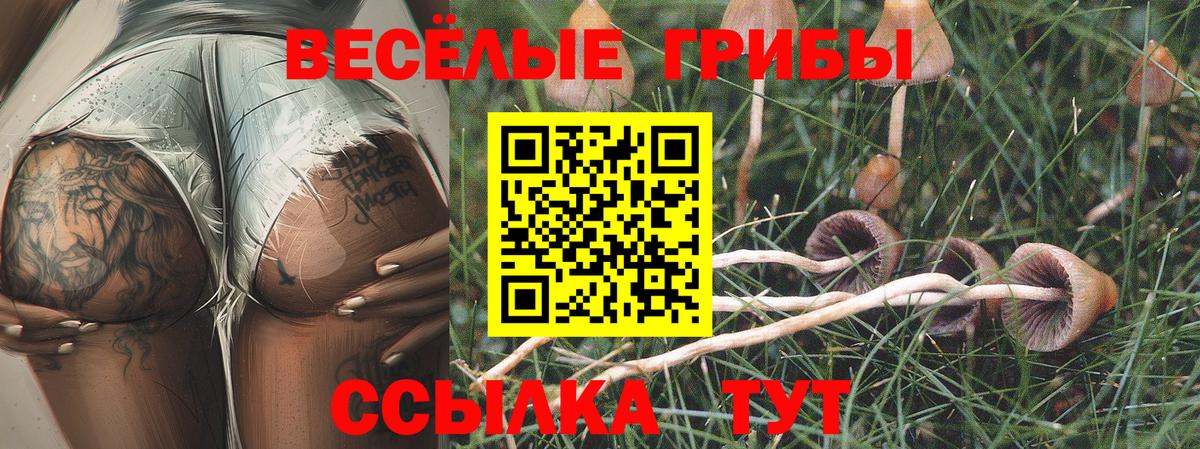 Галлюциногенные грибы прущие грибы Печора